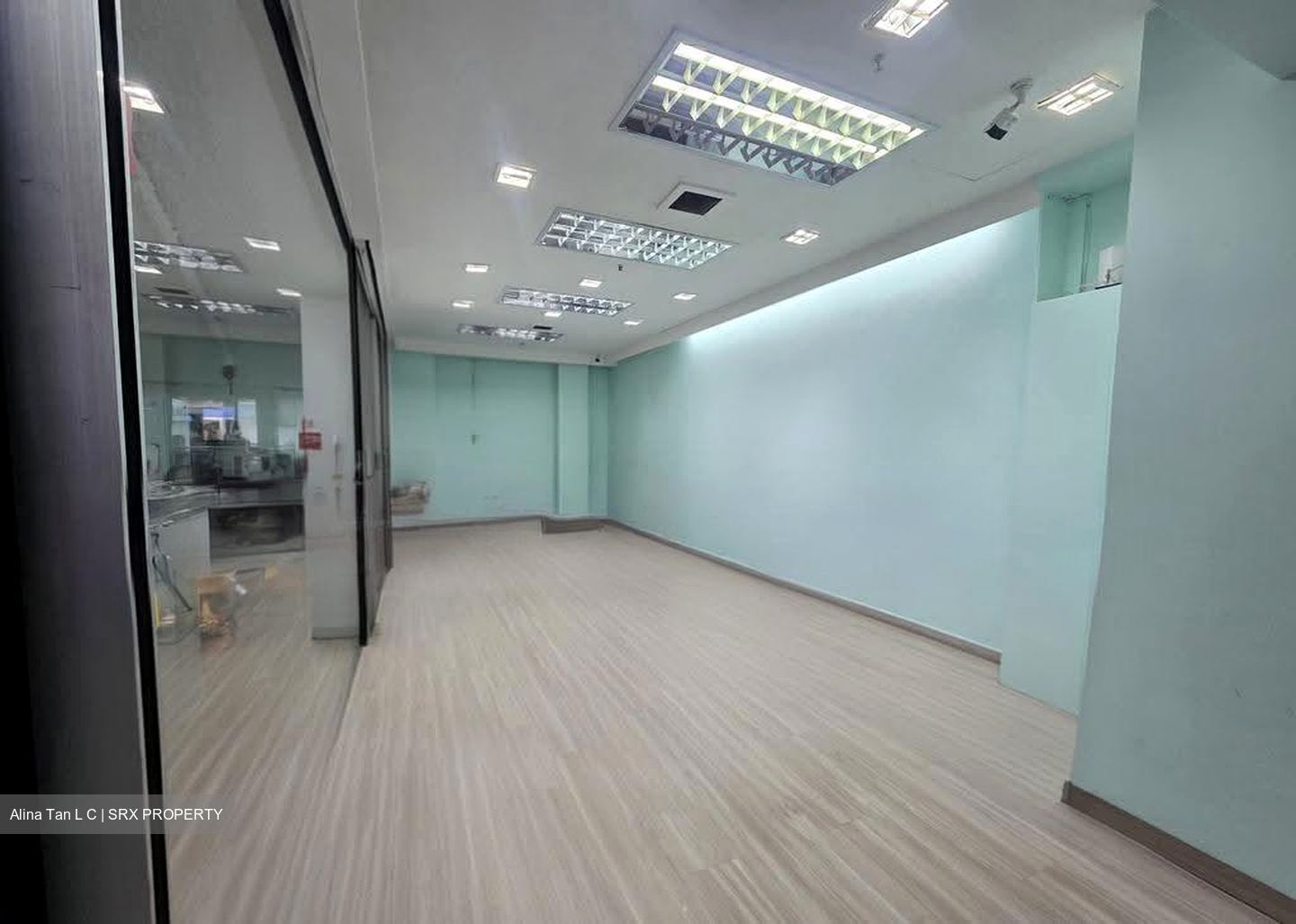 Bukit Timah Shopping Centre (D21), Shop House #623039871